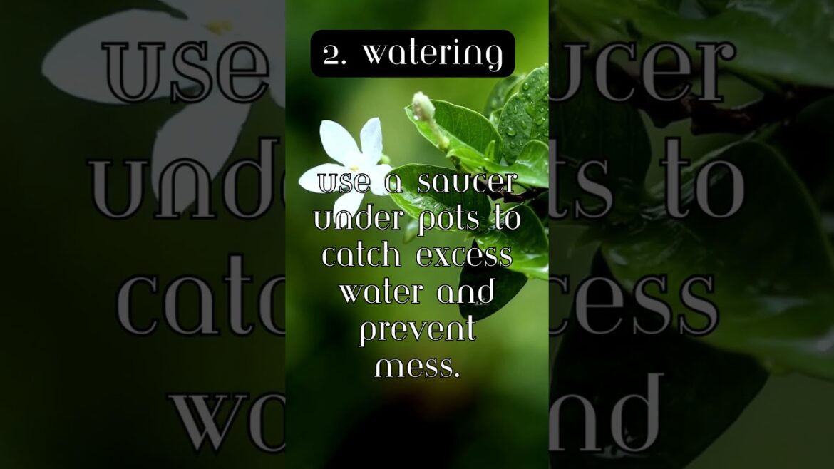 Mastering Watering Techniques: Essential Gardening Tips for Healthy Plants | Gardening Shorts 🌱