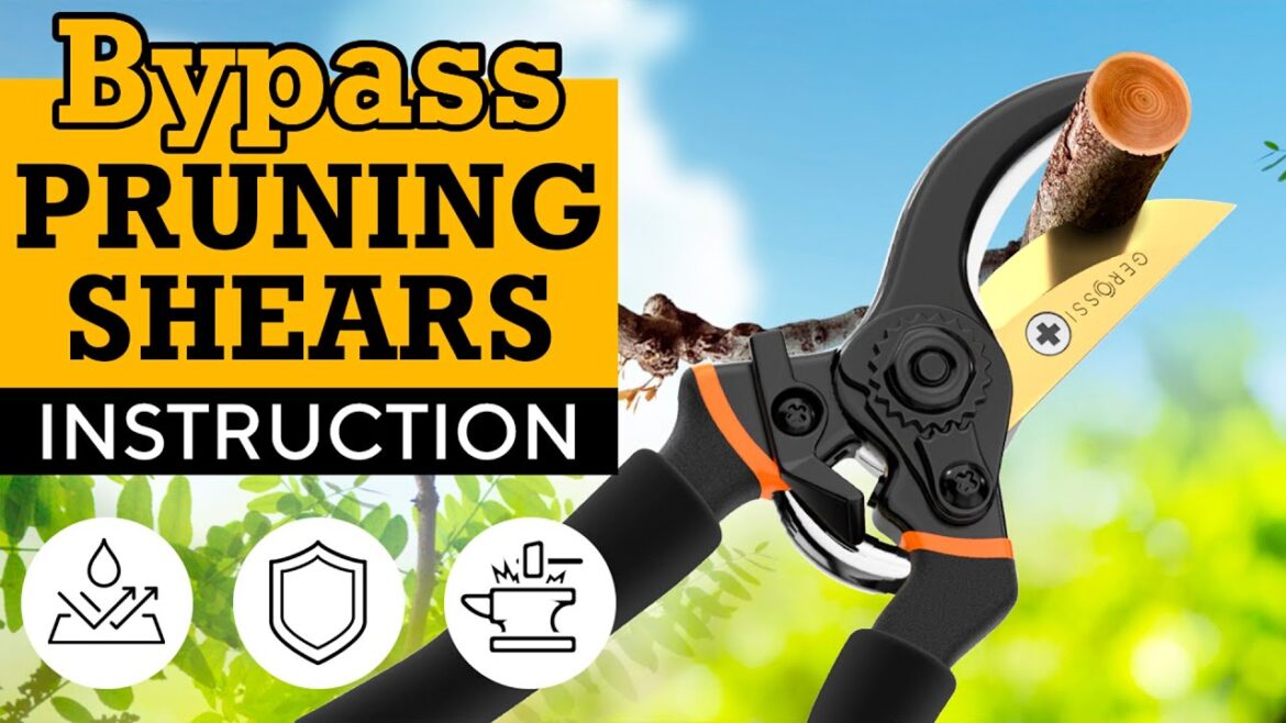 Top Bypass Pruning Shears for Gardening made of Japanese High Carbon Steel Amazon Available