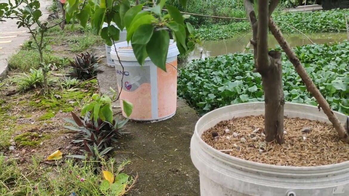 Community Clean Gardening: Collaborative Sustainability