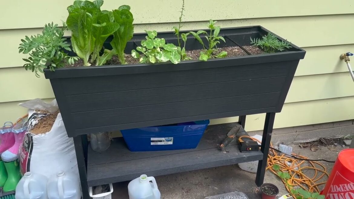 Keter Urban Bloomer 12 7 Gallon Raised Garden Bed with Self Watering Planter Box Review