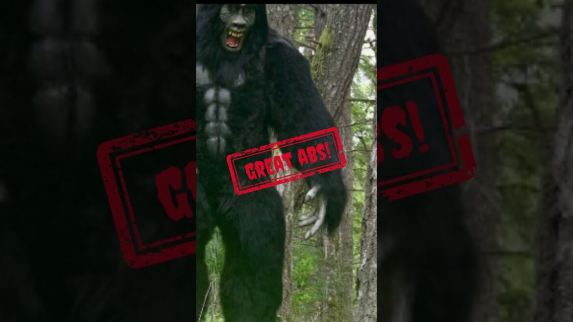 Bone garden Design bigfoot creation #bigfoot #Sasquatch #hoaxes #hoodwinks #sasquatchsecrets