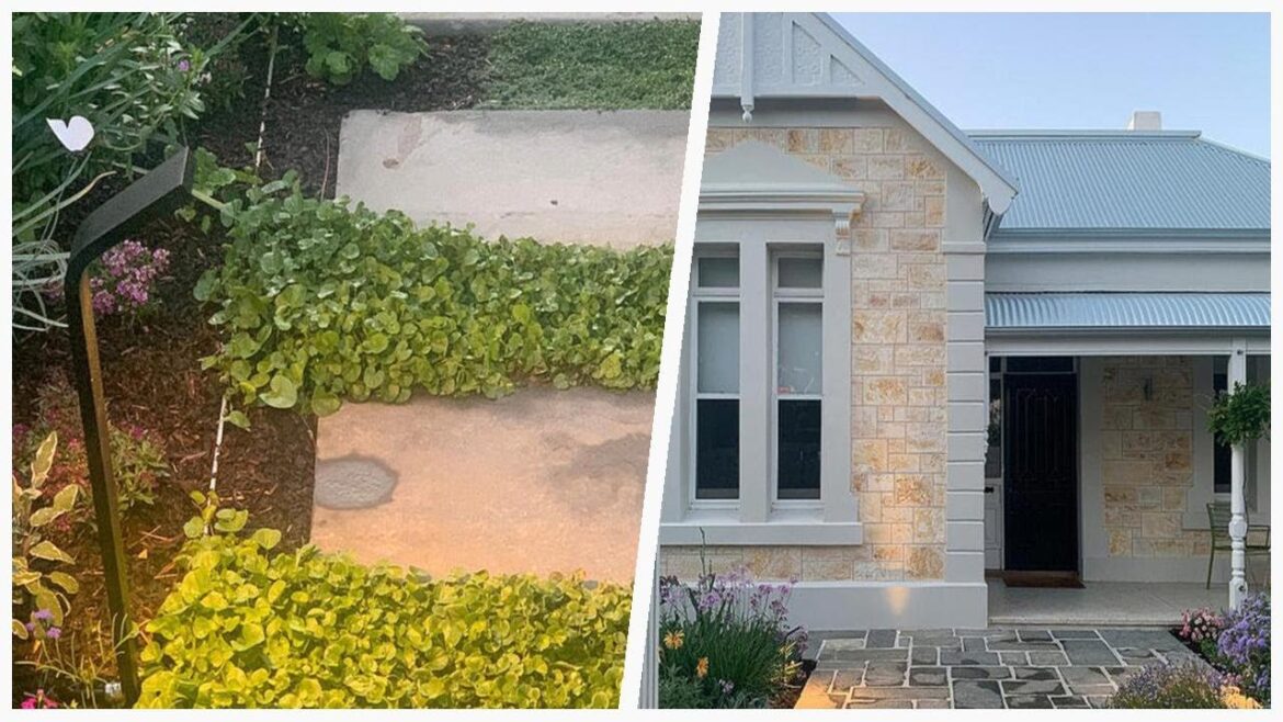 75 Modern Orange Landscaping Design Ideas You'll Love ♡
