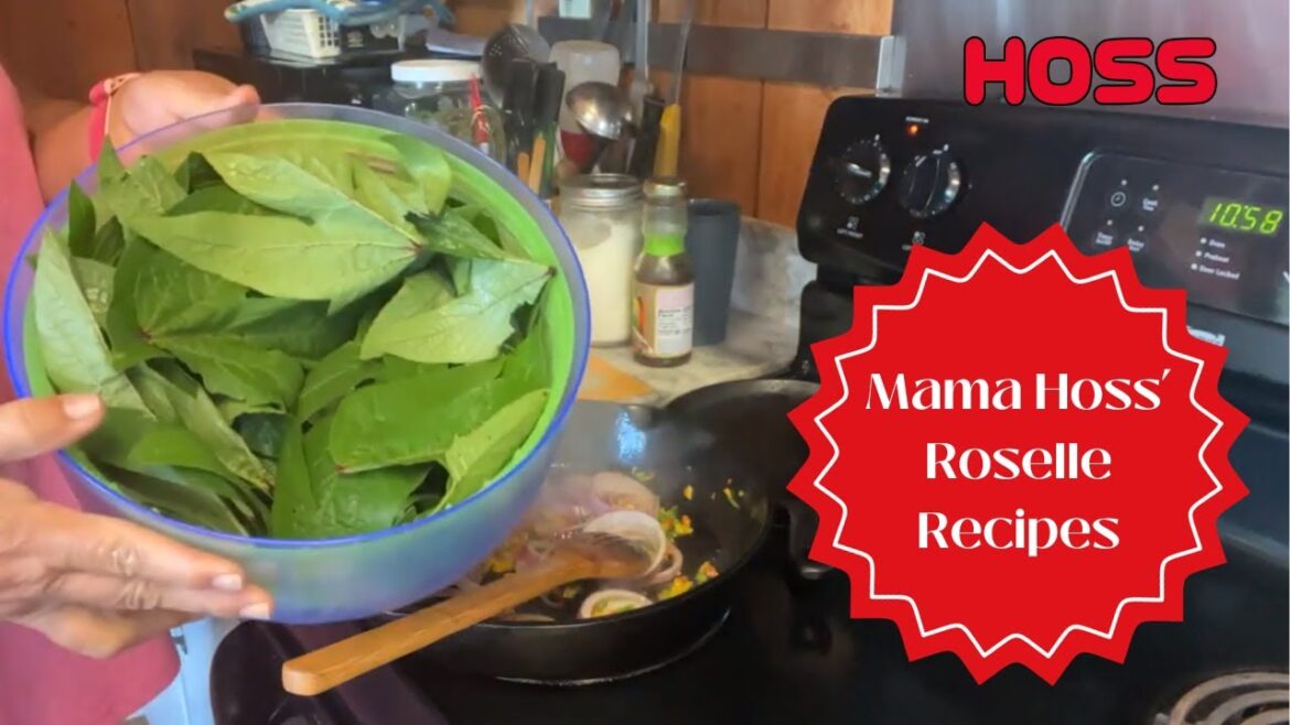 FROM SEED TO HARVEST | ROSELLE HIBISCUS RECIPES FROM SEED TO HARVEST | ROSELLE HIBISCUS RECIPES