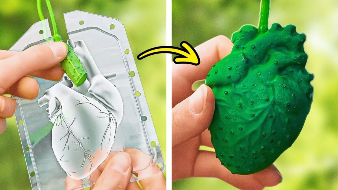 Brilliant Gardening Techniques for Amazing Harvest 🌱🧑‍🌾