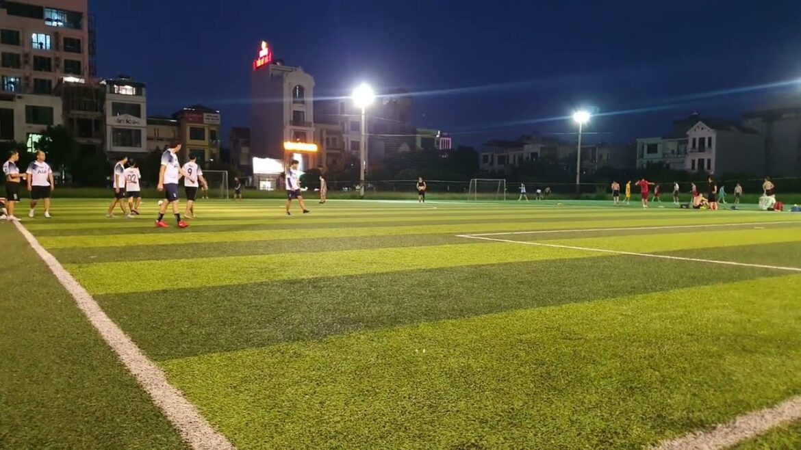 Soil Health and Clean Gardening: Secrets to Success