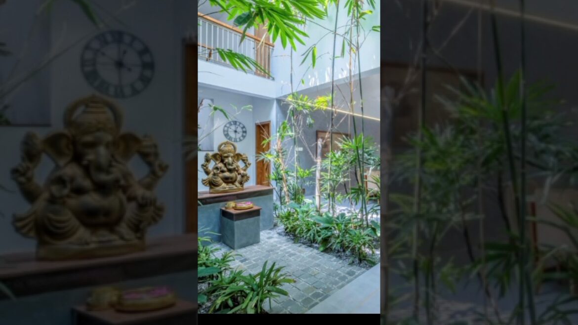 Indoor Garden Ideas | Curtyard design | Green Garden in House#garden #nature
