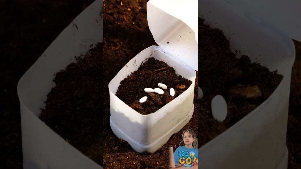 YEAR-ROUND GARDEN TIPS 🌷 by 123GO! Reacts #shorts