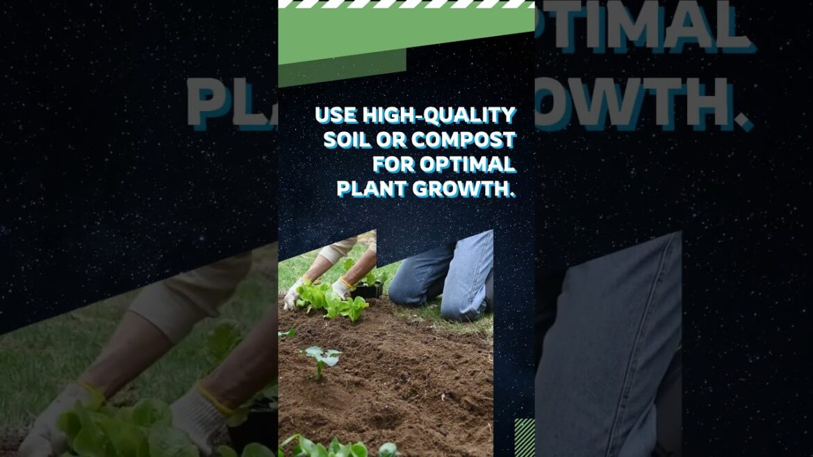 Container Gardening: Tips for Urban Plantation. #shorts #plants Container Gardening: Tips for Urban Plantation. #shorts #plants