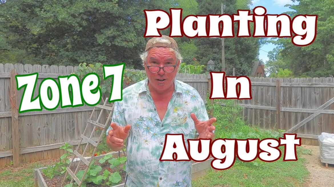 What To Plant In August For Your Vegetable Garden Zone 7 ?