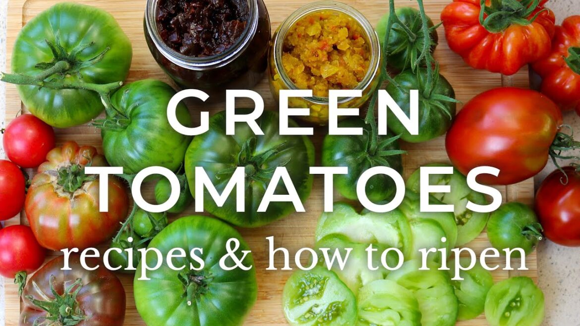 What to Do with Green Tomatoes What to Do with Green Tomatoes