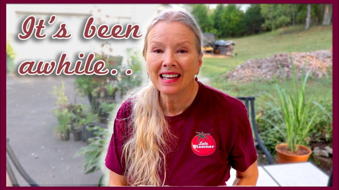 OCTOBER 4TH Update! Ready? What I am doing!