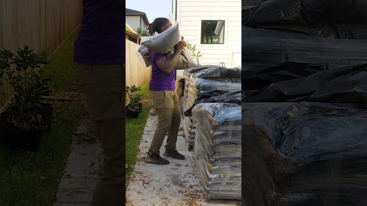 Stop wasting money when filling raised beds | garden transformation | Hugelkultur