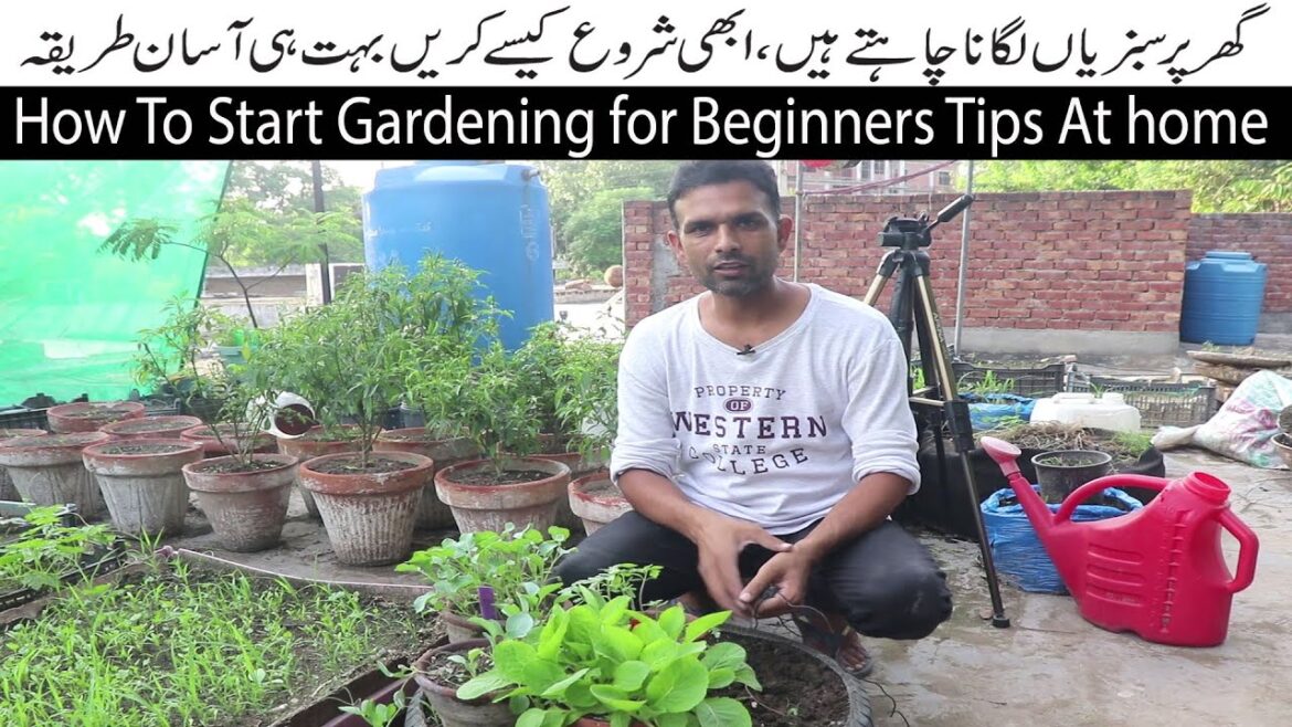Ghar Per Vegetables Kaise Laga Skte Hai |Tips For Beginners | Vegetable Gardening for Beginners