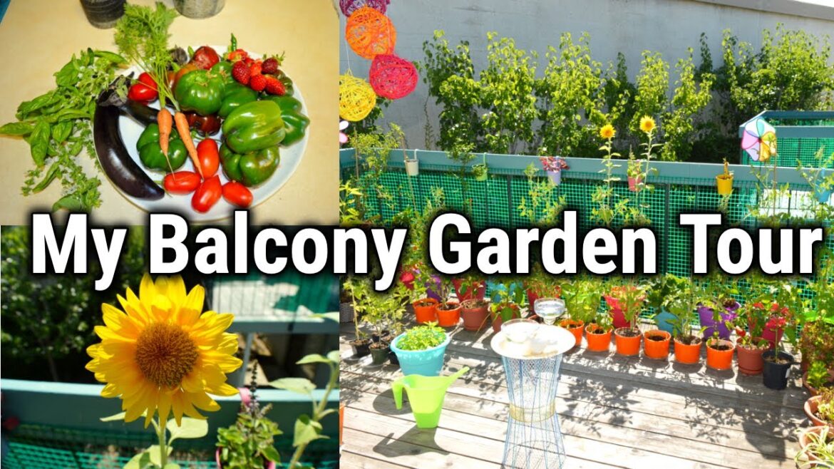 My Container Garden Tour&Harvest In USA/Balcony Garden/Apartment GardenTour#OneDayTrip Tamil Vlog#28