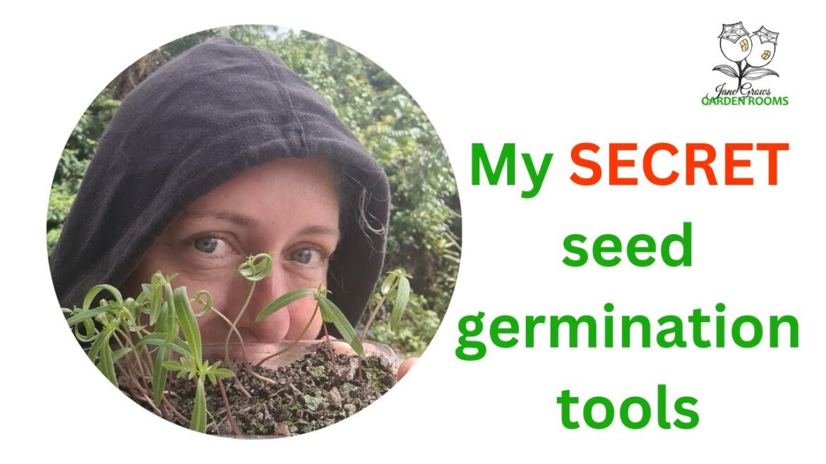 3 ways to reuse packaging for easy seed germination! #gardeningtips #gardeningaustralia #gardening