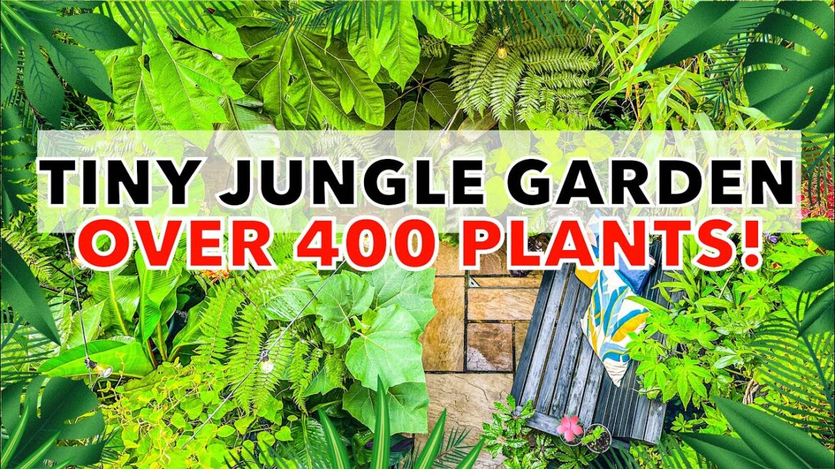 Small U.K. Jungle Garden Design Tips & Plant Ideas with Simon Mabury