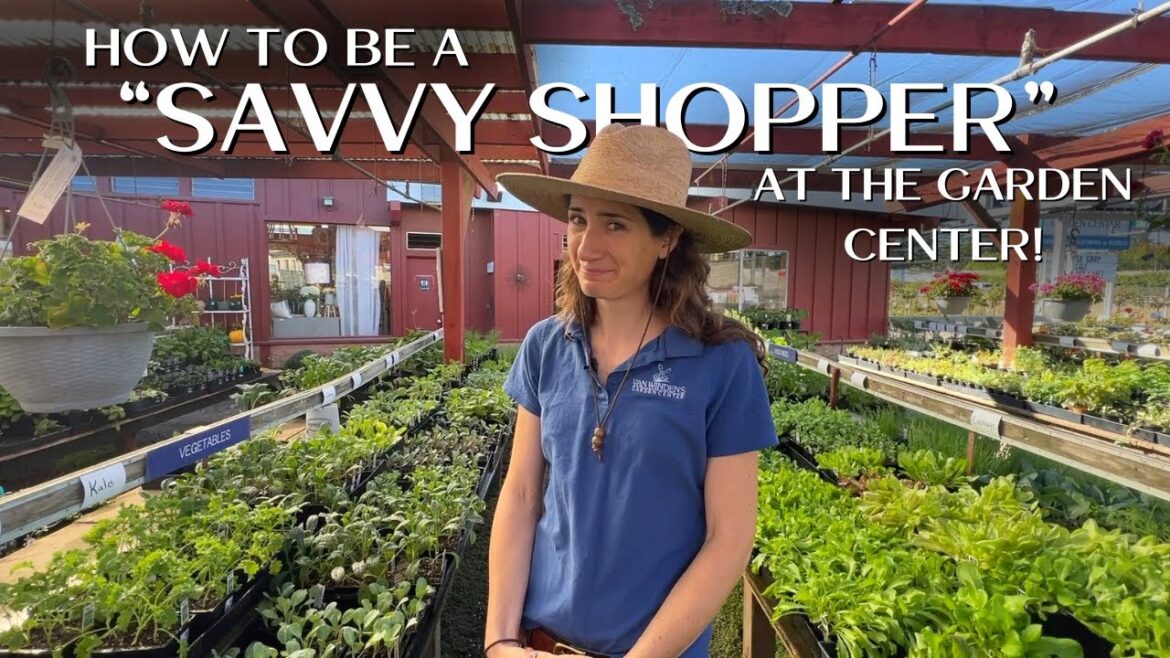 10 Tips for Shopping at Your Local Garden Center! :: How to be a “SAVVY SHOPPER” (From an Insider😉) 10 Tips for Shopping at Your Local Garden Center! :: How to be a "SAVVY SHOPPER" (From an Insider😉)