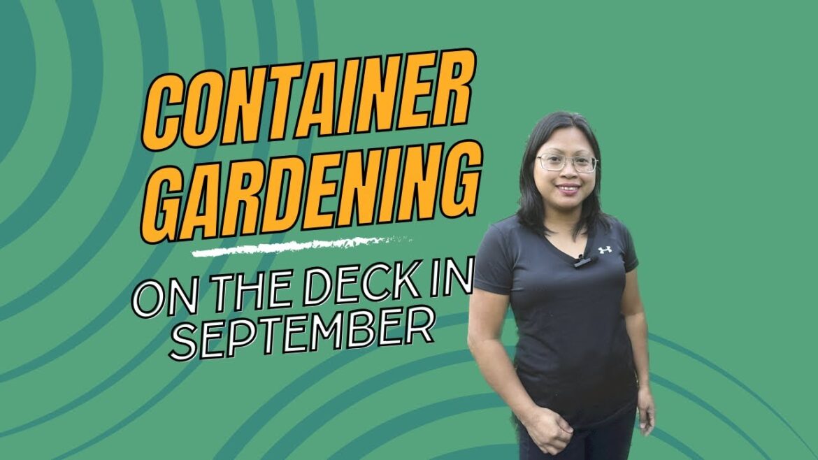Container Gardening on the Deck in September 2023