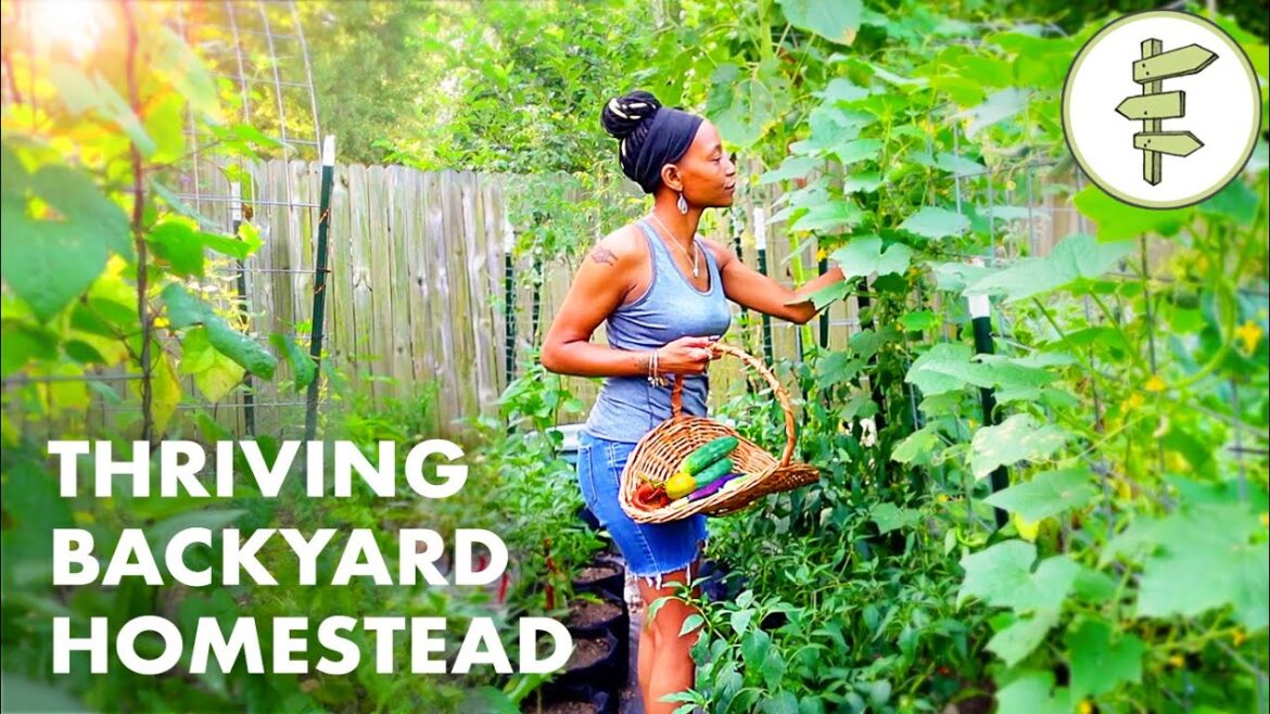 Woman’s Incredible Backyard Homestead Produces TONS of Food for Her Family – URBAN GARDEN TOUR Woman's Incredible Backyard Homestead Produces TONS of Food for Her Family – URBAN GARDEN TOUR