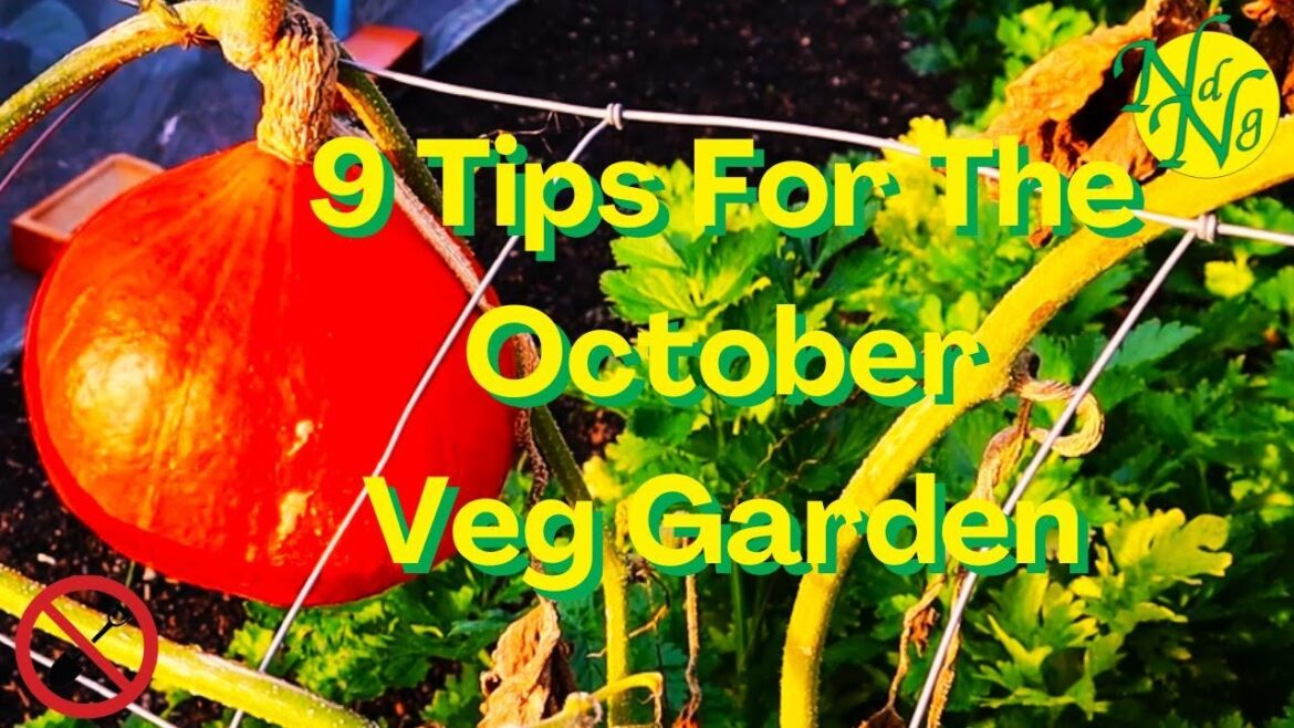 9 Top Tips for Your Veg Garden in October