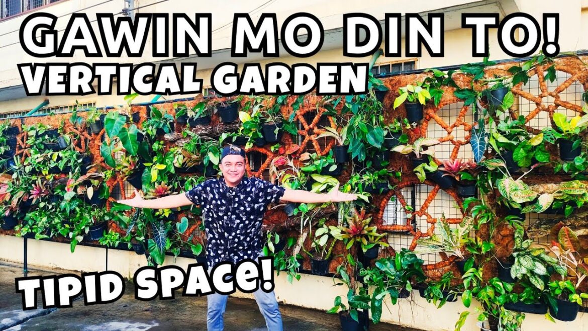 VERTICAL GARDEN IDEAS WITH NEW PLANT DESIGN | PHASE 2 GARDEN PROJECT VERTICAL GARDEN IDEAS WITH NEW PLANT DESIGN | PHASE 2 GARDEN PROJECT