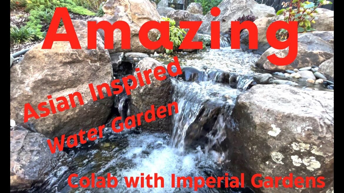 Japanese Styled Water Garden Collaboration with Imperial Gardens Japanese Styled Water Garden Collaboration with Imperial Gardens