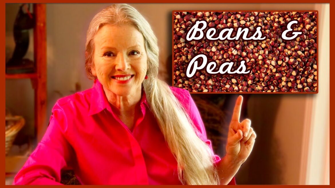 Kaye Kittrell: My BEAN VARIETIES + Sorting & Cleaning for Storage My BEAN VARIETIES + Sorting & Cleaning for Storage