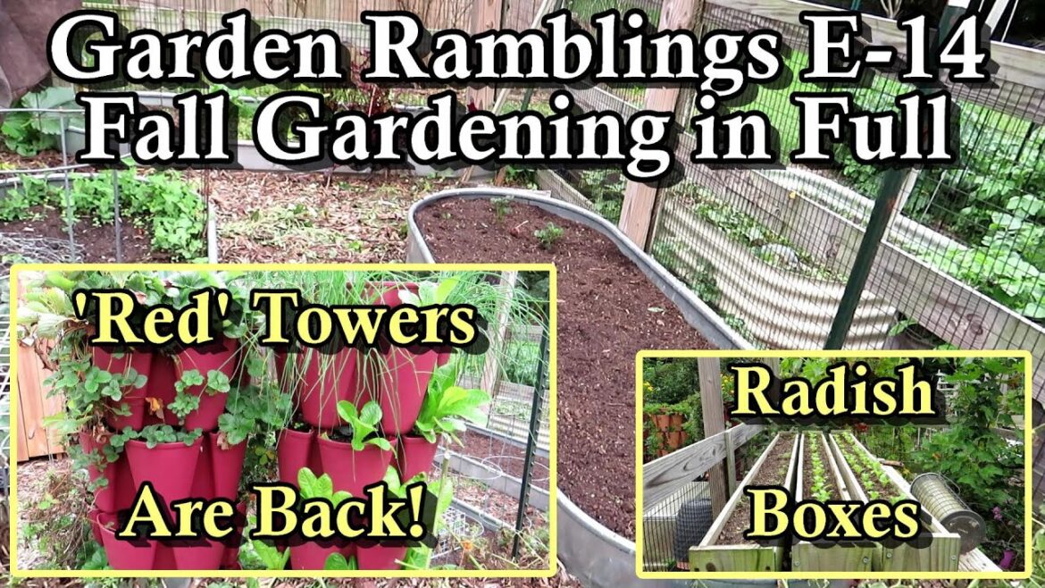 Cool Crops are Growing and Fall Gardening is Here in Full: Garden Ramblings Tips & Tour E-14