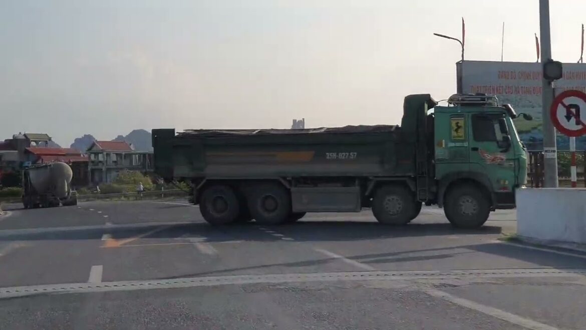 Growing Clean: Tips for Organic Vegetable Gardening