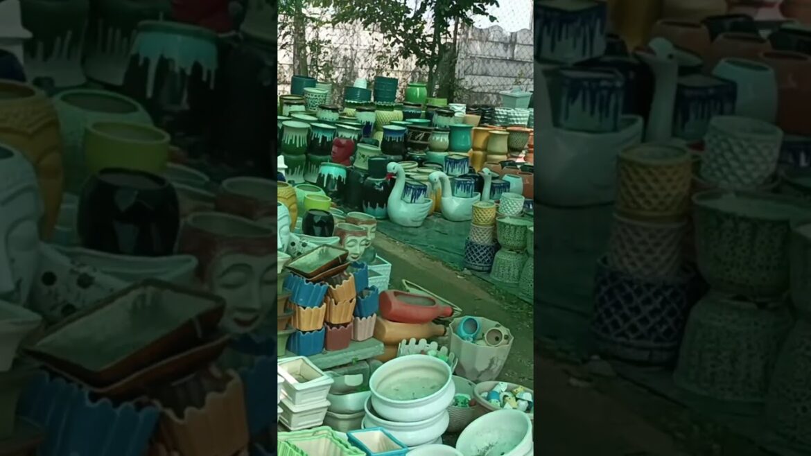 Imported Pots for plants #pots#plants#nursery#earn# Imported Pots for plants #pots#plants#nursery#earn#