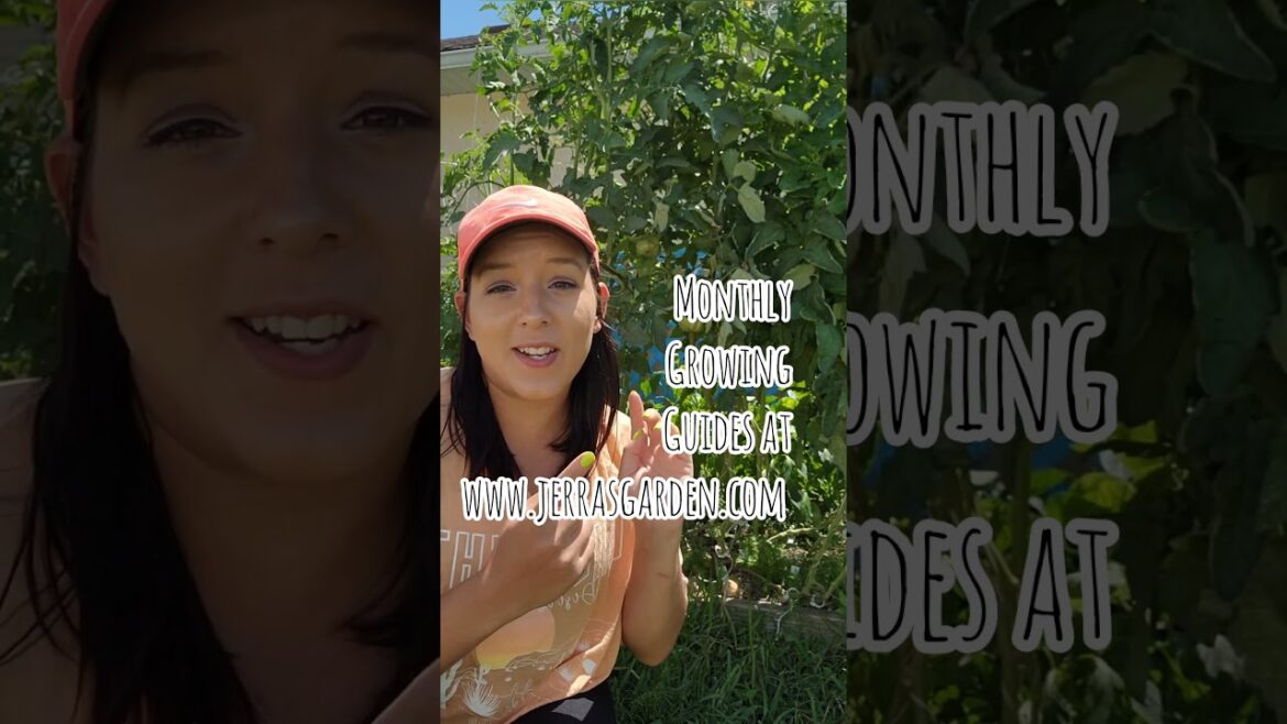 Everything you can plant in MAY #garden #vegetablegarden #eatwhatyougrow #gardening #plants #grow Everything you can plant in MAY #garden #vegetablegarden #eatwhatyougrow #gardening #plants #grow