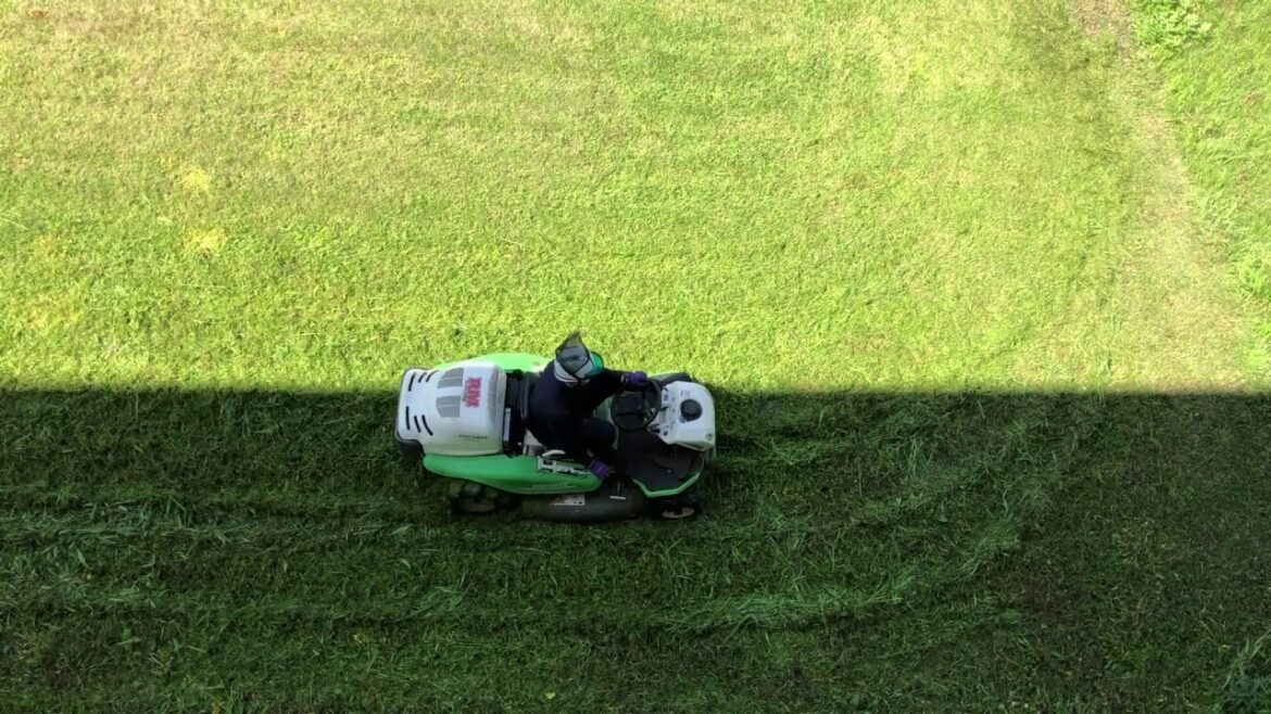 Japanese garden || Japanese Gardeners work || Japanese life style || Tales of a Japanese gardener