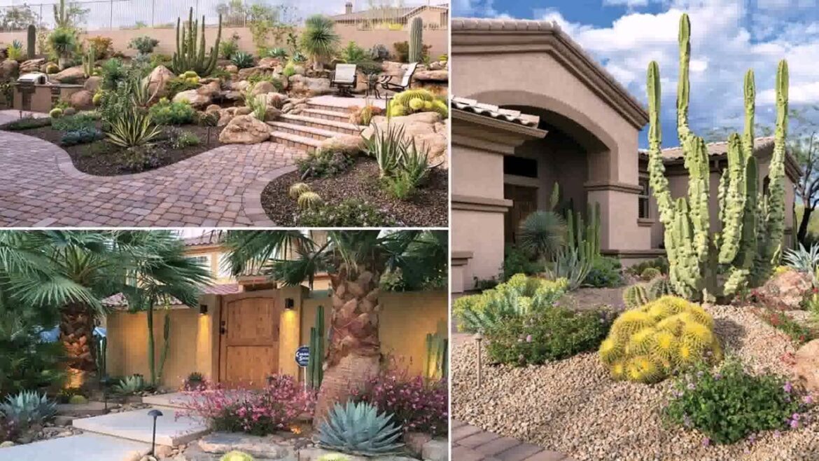 Front Yard Landscaping Ideas Az