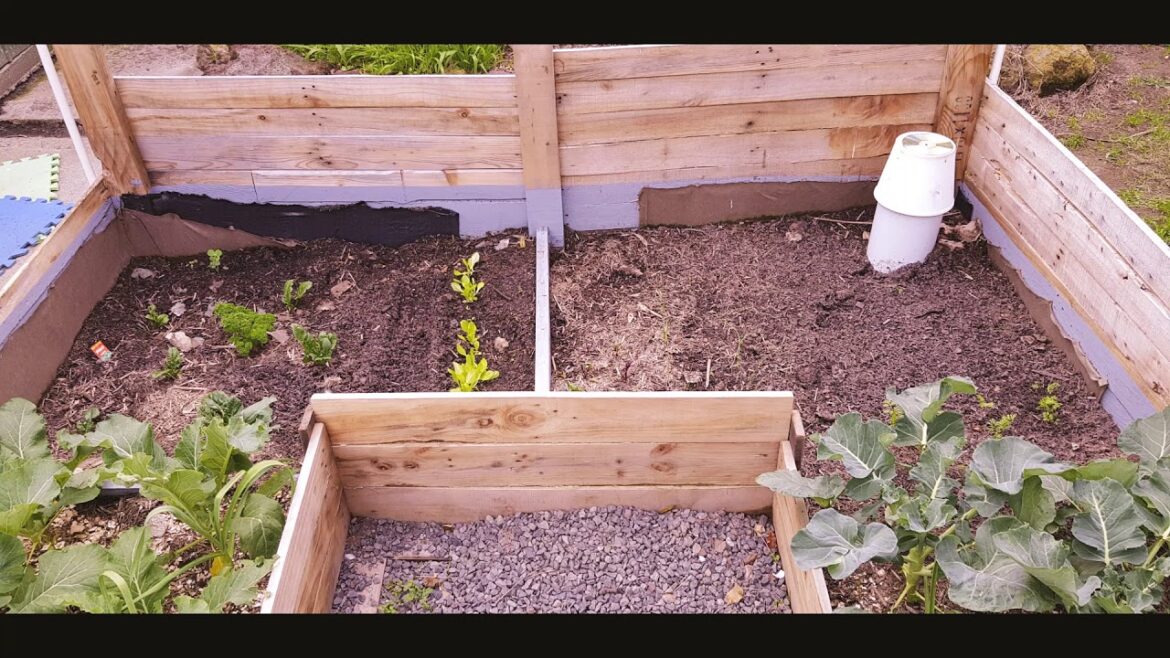 TUP Progress P 1 – The Beginning of a Journey TUP Progress P 1 - The Beginning of a Journey