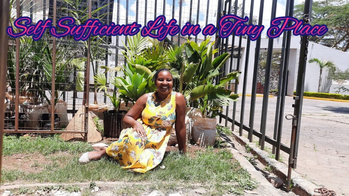 Being Self sufficient in a Tiny place.Container gardening in a small space
