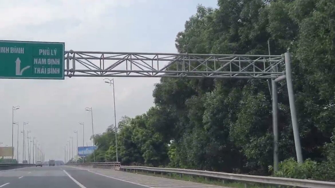 Seed Starting for a Clean Garden: Tips and Tricks