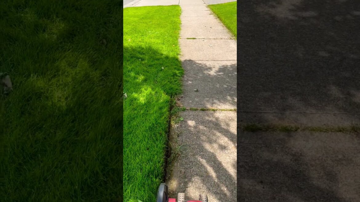 Keep the Edge Sharp 🔪#shorts #edge #landscape