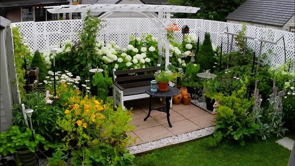 New Day In Our Small Backyard Garden | GARDEN TOUR #garden #gardening #gardentour #relaxing #new