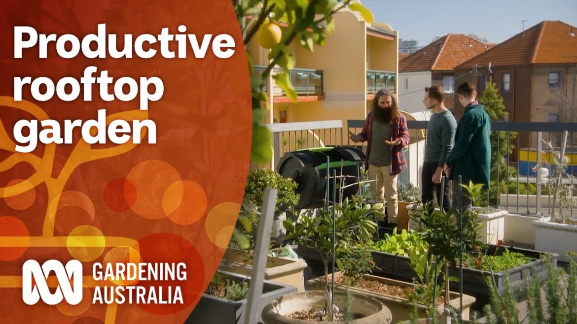 Turning a rooftop into a productive garden | Garden Design and Inspiration | Gardening Australia Turning a rooftop into a productive garden | Garden Design and Inspiration | Gardening Australia