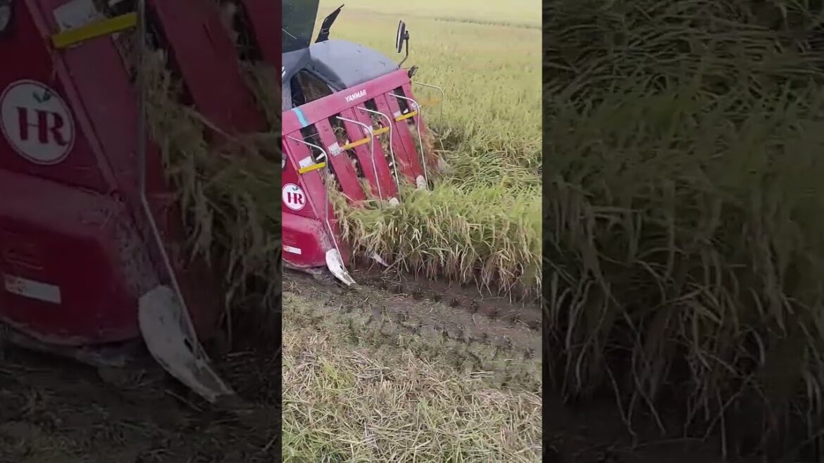 "The Future of Agriculture: Innovations and Trends"