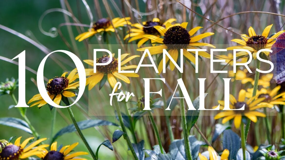 10 Stunning Fall Container Ideas 🌾🍂🧡 *MY BEST FALL PLANTINGS 3 Year Compilation*