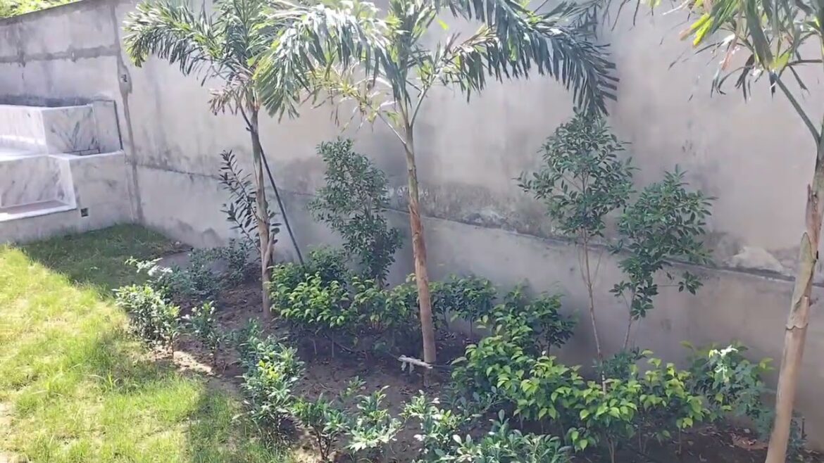 MOTORWAY VALLEY FAISALABAD/ LOAN TYAR KIA PART 2 PART 1 IN DESCRIPTION.