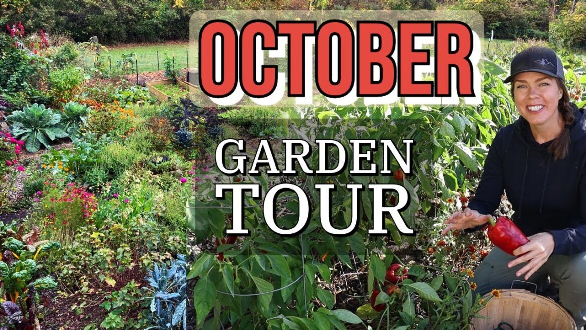 October 2023 Vegetable Garden Tour: Zone 6 October 2023 Vegetable Garden Tour: Zone 6