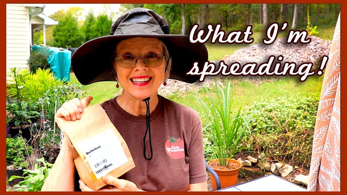 THIS is what COVER CROP seeds I'm using + October Harvest