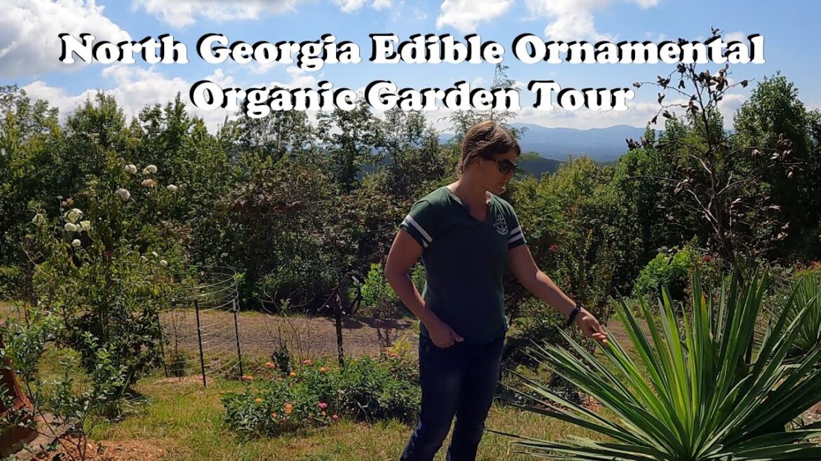 North Georgia Edible Ornamental Organic Garden Tour North Georgia Edible Ornamental Organic Garden Tour