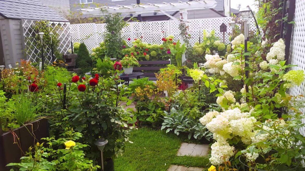 Finding Happiness In My Small Backyard Garden | GARDEN TOUR #nature #garden #gardentour #gardening Finding Happiness In My Small Backyard Garden | GARDEN TOUR #nature #garden #gardentour #gardening