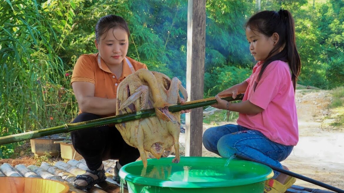 Harvesting rice – Gardening vegetables, Grilling whole duck with my daughter – Luu Linh Harvesting rice - Gardening vegetables, Grilling whole duck with my daughter - Luu Linh
