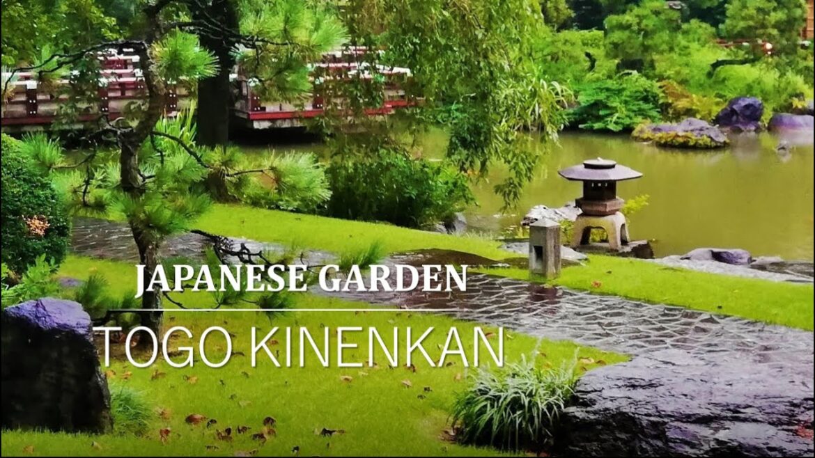 Japanese Garden quietly nestled beside a fashion street | TOGO KINENKAN