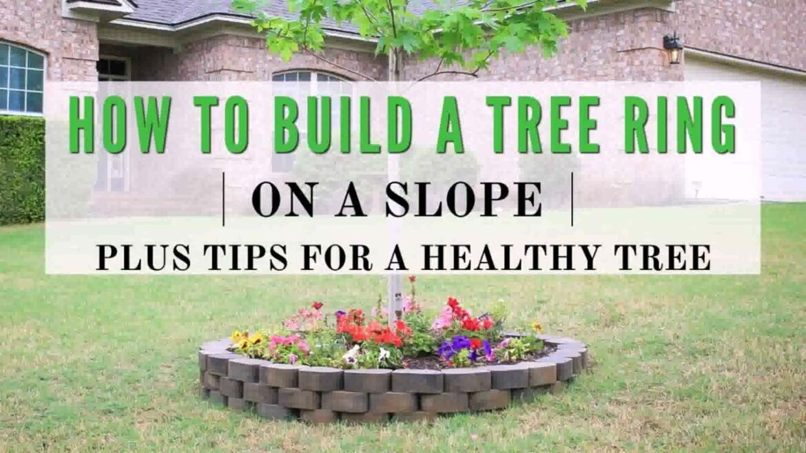 Front Yard Landscaping Ideas Around Tree Roots