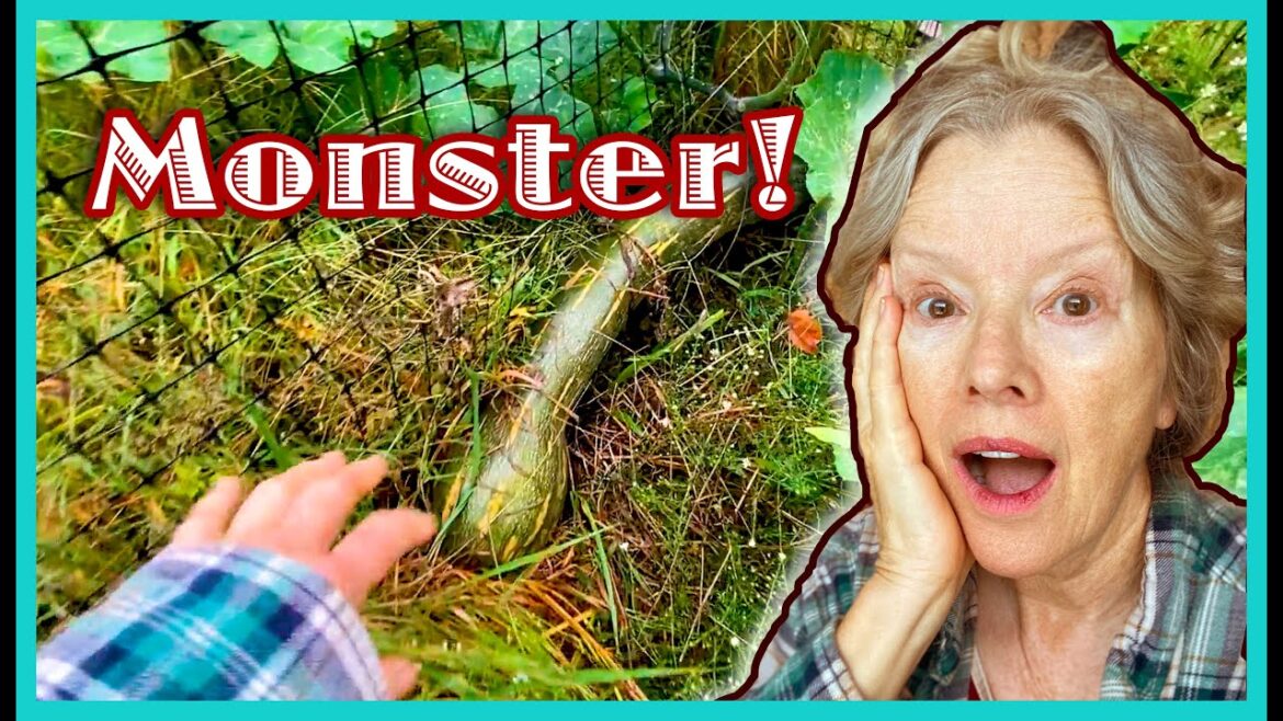 WHAT MONSTER is growing in my SIDE GARDEN??